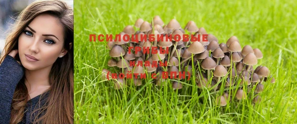 бутират Баксан